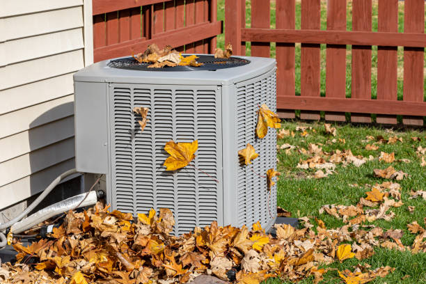 Best HVAC tune-up services  in Hamshire, TX